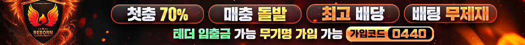 리본